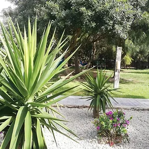 Gasthof Nexo Surf House, El Palmar de Vejer